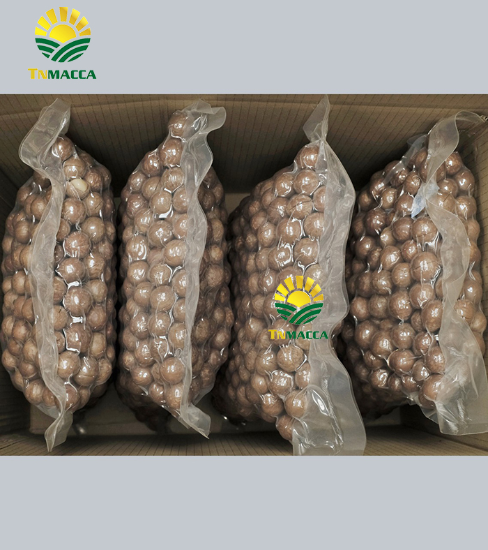 Macca sấy nứt size 26-28 mm Hộp 500g Sỉ- 10 kg