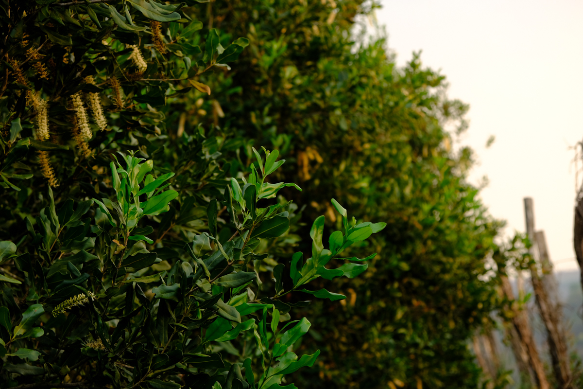 Factory gallery image 3