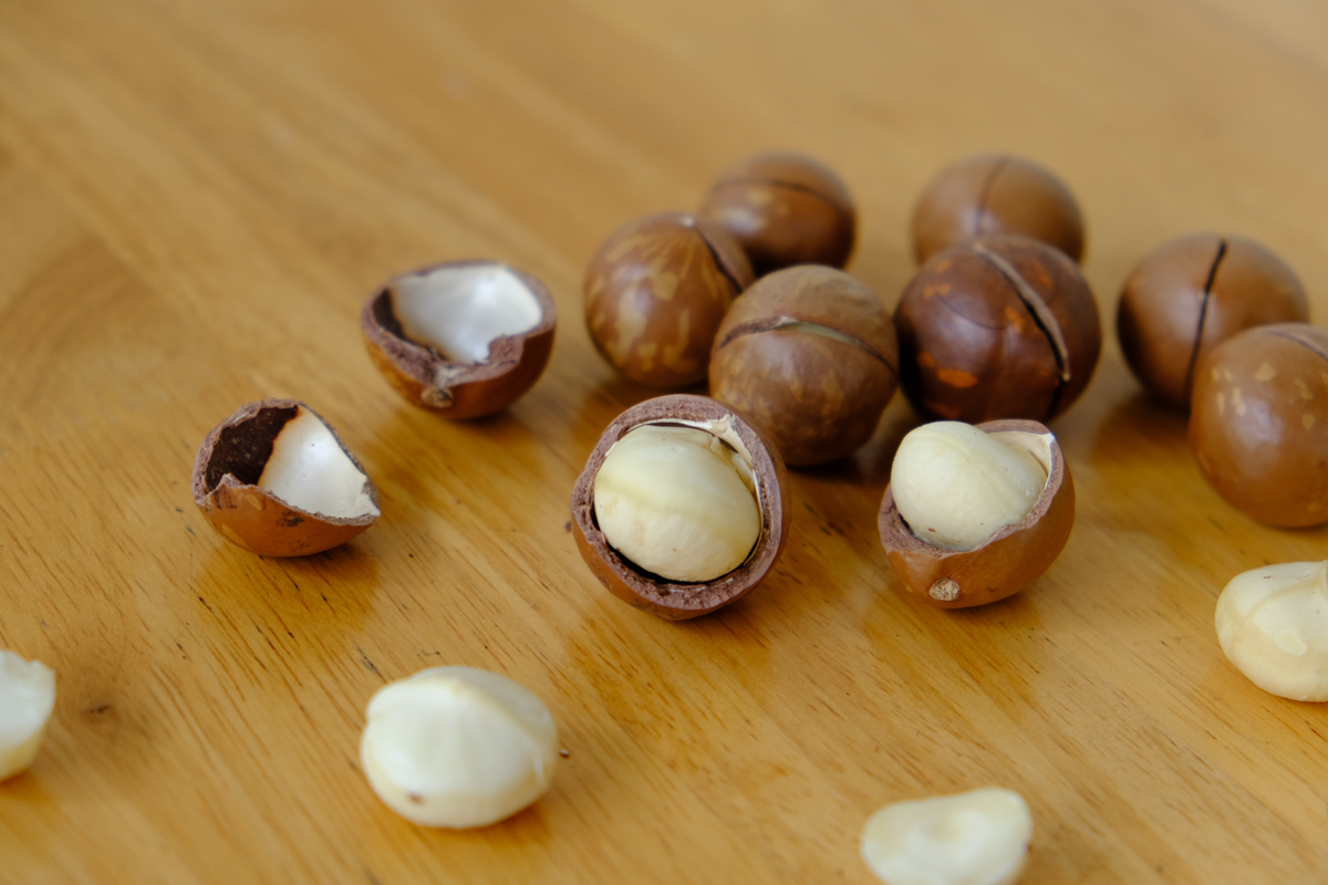 Factory gallery image 1