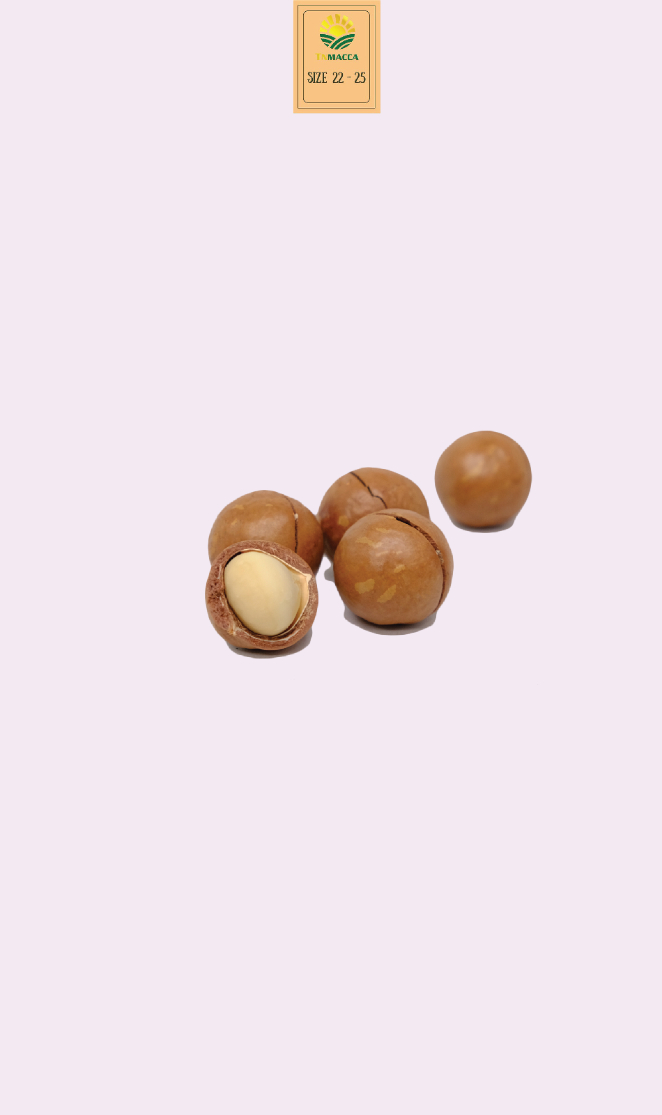 Hạt macca sấy nứt 22-25