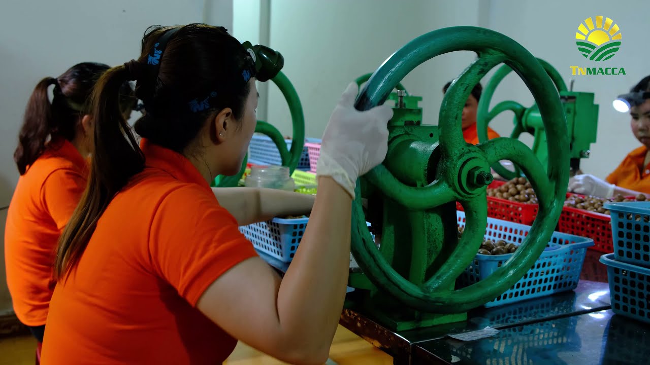 Container hàng macca TNMACCA